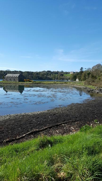 The Castle Apartment Strangford Exterior foto